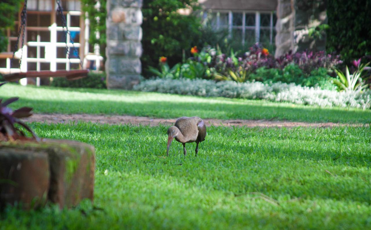 Amani Gardens Inn Nairobi Esterno foto